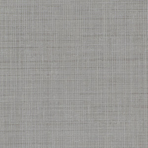 Fresh Mesh - Y47931 - Wallcovering - Vycon - Kube Contract