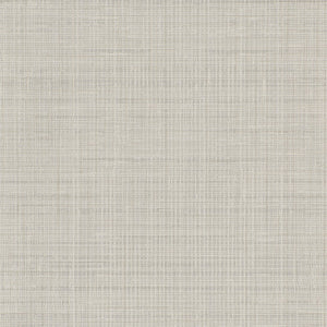 Fresh Mesh - Y47934 - Wallcovering - Vycon - Kube Contract