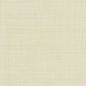 Fresh Mesh - Y47942 - Wallcovering - Vycon - Kube Contract