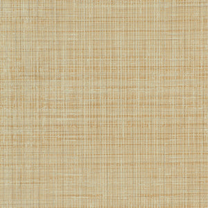 Fresh Mesh - Y47943 - Wallcovering - Vycon - Kube Contract
