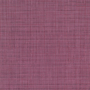 Fresh Mesh - Y47948 - Wallcovering - Vycon - Kube Contract