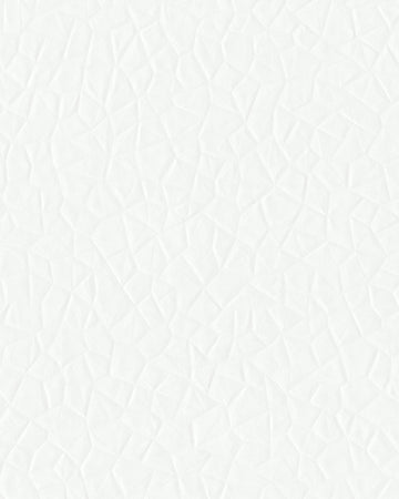W2-FA-01