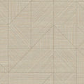  T2-AO-06