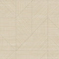  T2-AO-08