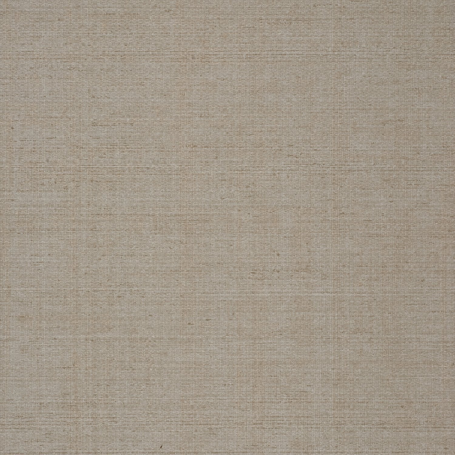 Oasis - Y44932 - Wallcovering - Vycon - Kube Contract