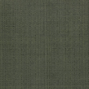 Oasis - Y47311 - Wallcovering - Vycon - Kube Contract