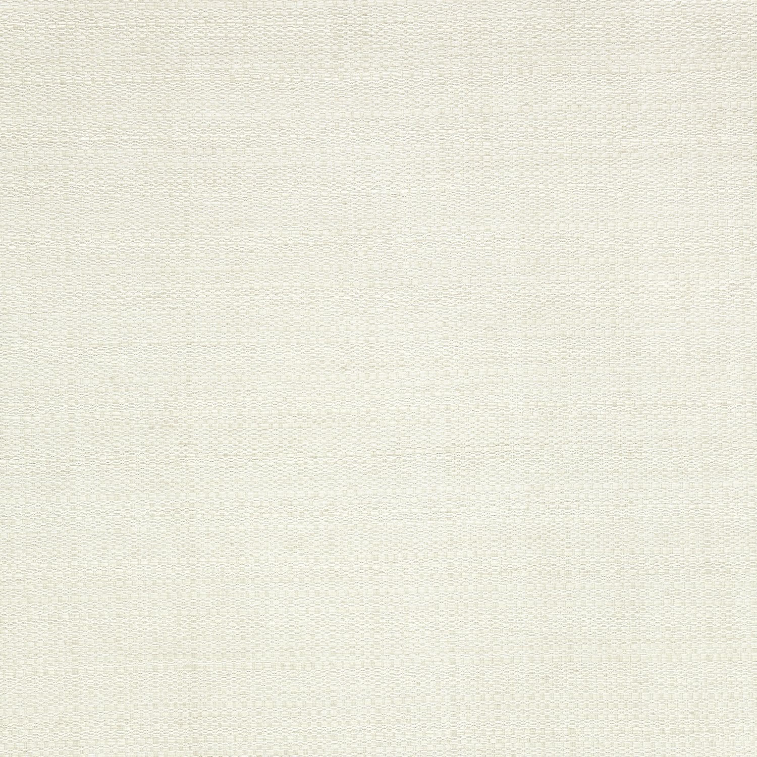 Oasis - Y47315 - Wallcovering - Vycon - Kube Contract