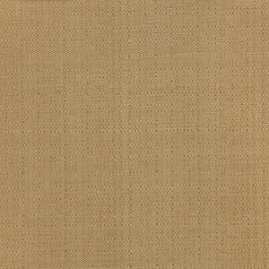 Oasis - Y47316 - Wallcovering - Vycon - Kube Contract