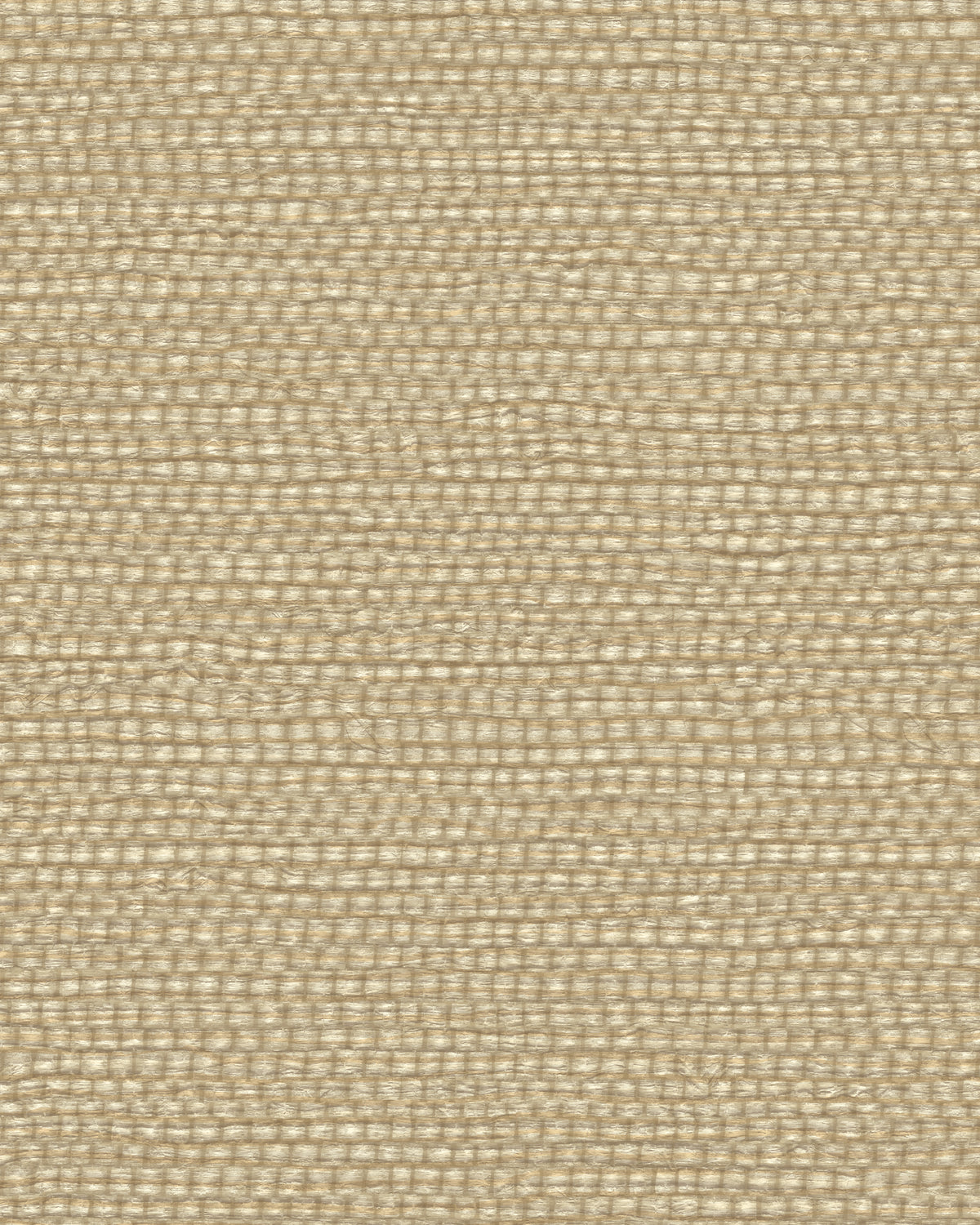 Beach Grass