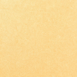 Pleso - 1026.02 - Wallcovering - Vescom - Kube Contract