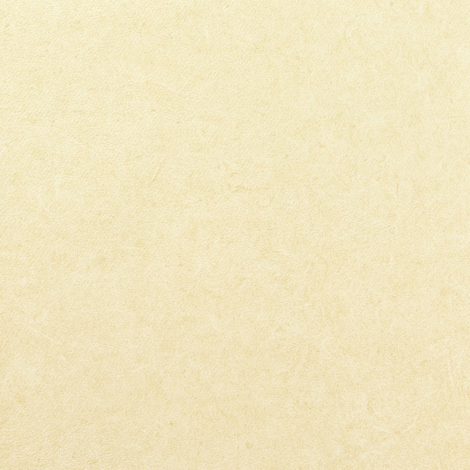 Pleso - 1026.06 - Wallcovering - Vescom - Kube Contract