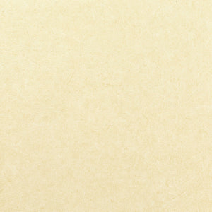 Pleso - 1026.06 - Wallcovering - Vescom - Kube Contract