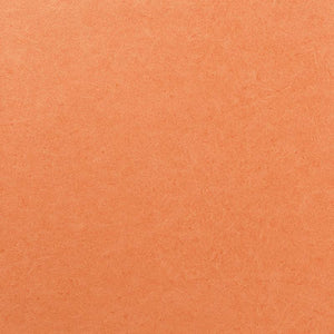 Pleso - 1026.07 - Wallcovering - Vescom - Kube Contract
