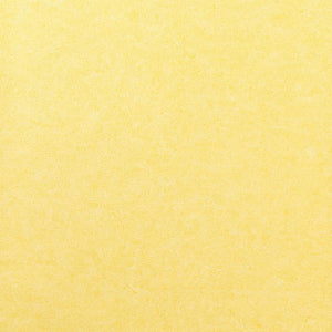 Pleso - 1026.20 - Wallcovering - Vescom - Kube Contract