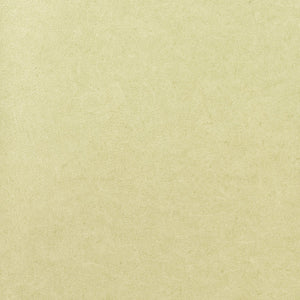 Pleso - 1026.24 - Wallcovering - Vescom - Kube Contract