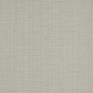 Raising Cain - Y46205 - Wallcovering - Vycon - Kube Contract