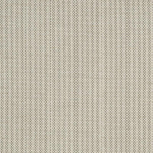 Raising Cain - Y46206 - Wallcovering - Vycon - Kube Contract