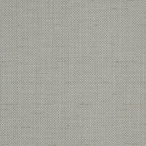 Raising Cain - Y46207 - Wallcovering - Vycon - Kube Contract