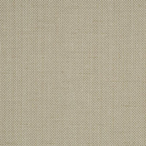 Raising Cain - Y46215 - Wallcovering - Vycon - Kube Contract