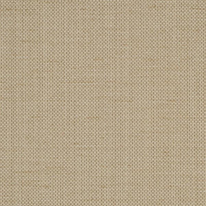 Raising Cain - Y46216 - Wallcovering - Vycon - Kube Contract