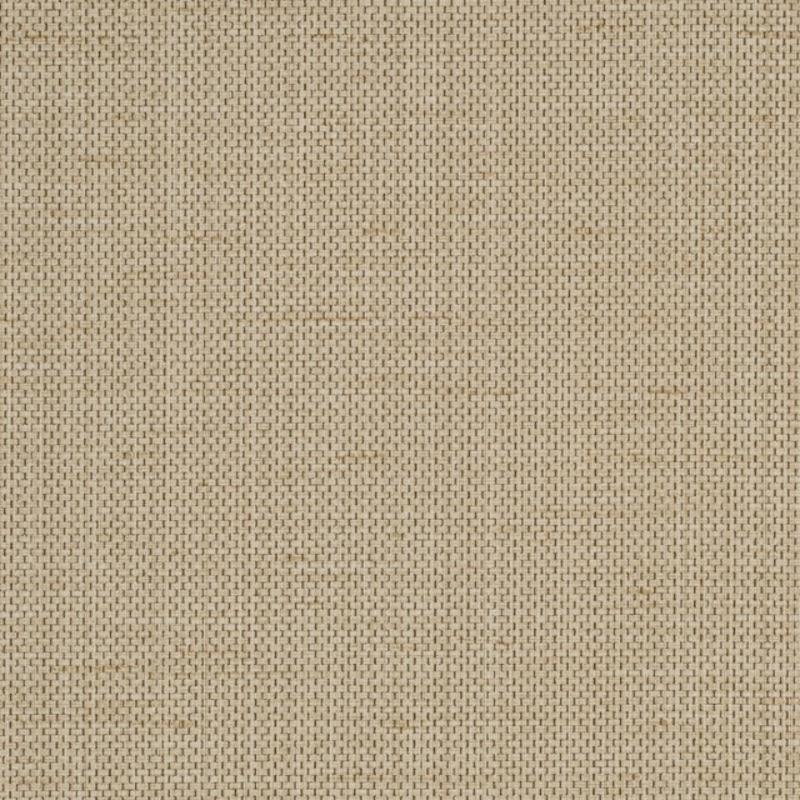 Raising Cain - Y46216 - Wallcovering - Vycon - Kube Contract