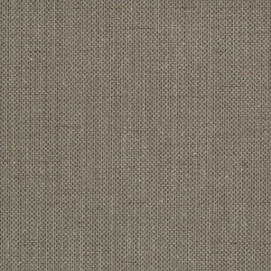 Raising Cain - Y46217 - Wallcovering - Vycon - Kube Contract