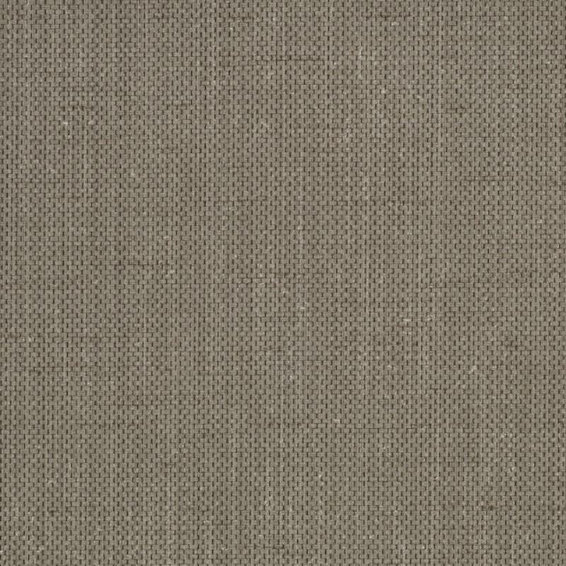 Raising Cain - Y46217 - Wallcovering - Vycon - Kube Contract