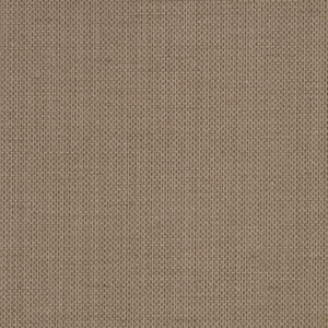 Raising Cain - Y46218 - Wallcovering - Vycon - Kube Contract