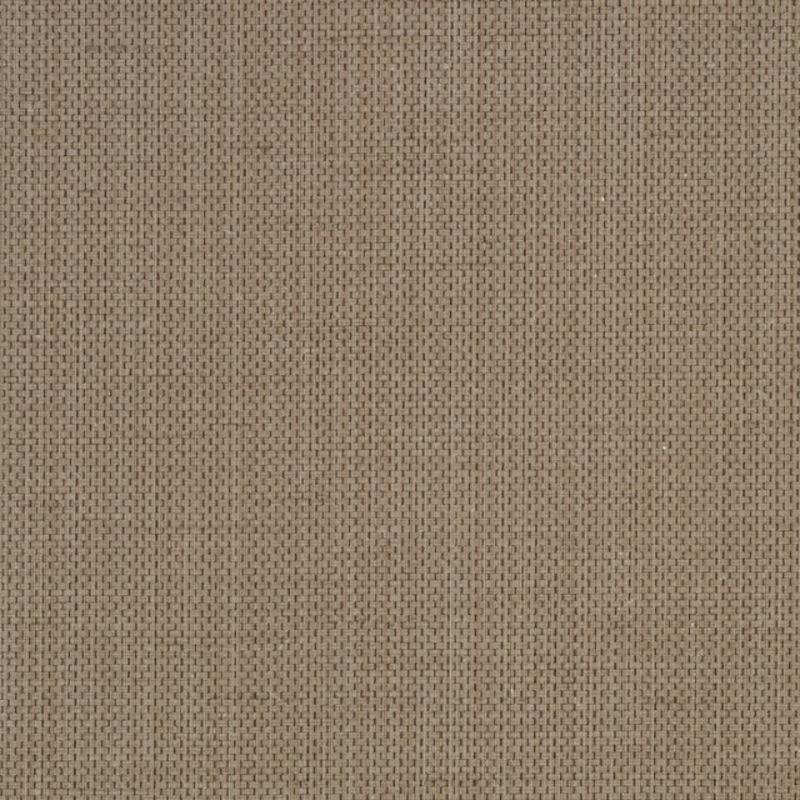 Raising Cain - Y46218 - Wallcovering - Vycon - Kube Contract