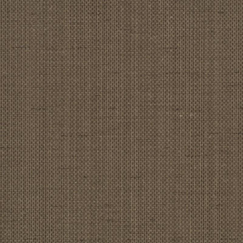 Raising Cain - Y46219 - Wallcovering - Vycon - Kube Contract