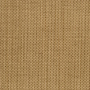Raising Cain - Y46223 - Wallcovering - Vycon - Kube Contract