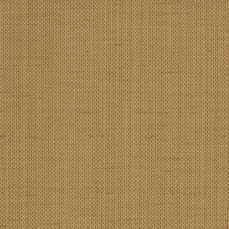 Raising Cain - Y46223 - Wallcovering - Vycon - Kube Contract