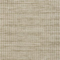  CL01-01