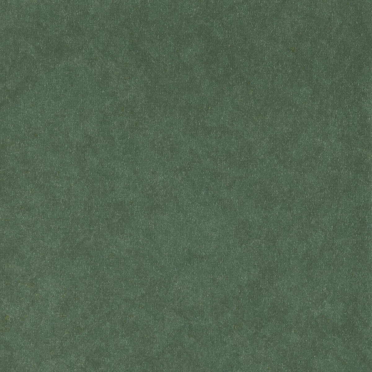 Reflection - Y47233 - Wallcovering - Vycon - Kube Contract