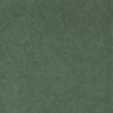 Y47233