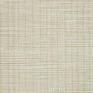 Sass-A-Grass - Y47450 - Wallcovering - Vycon - Kube Contract