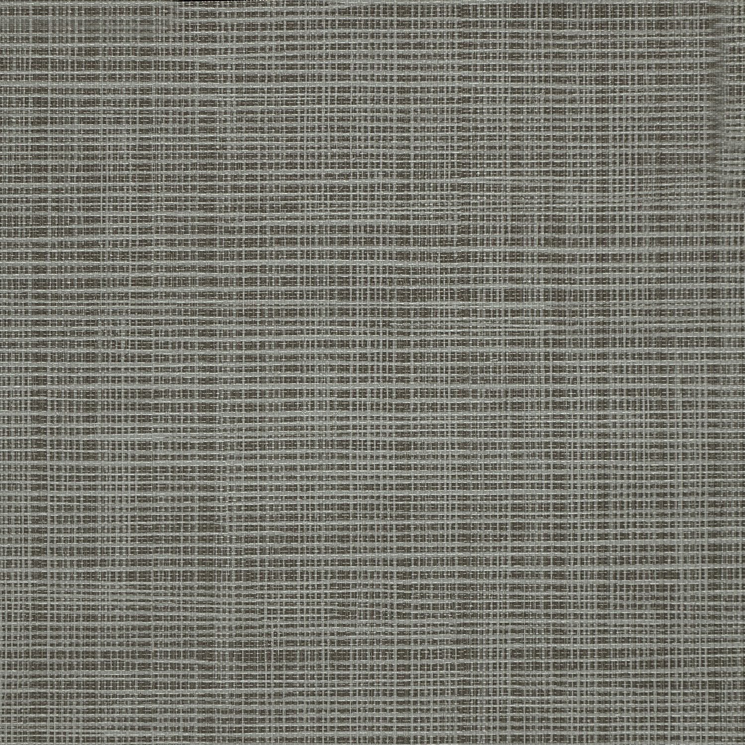 Sass-A-Grass - Y47456 - Wallcovering - Vycon - Kube Contract