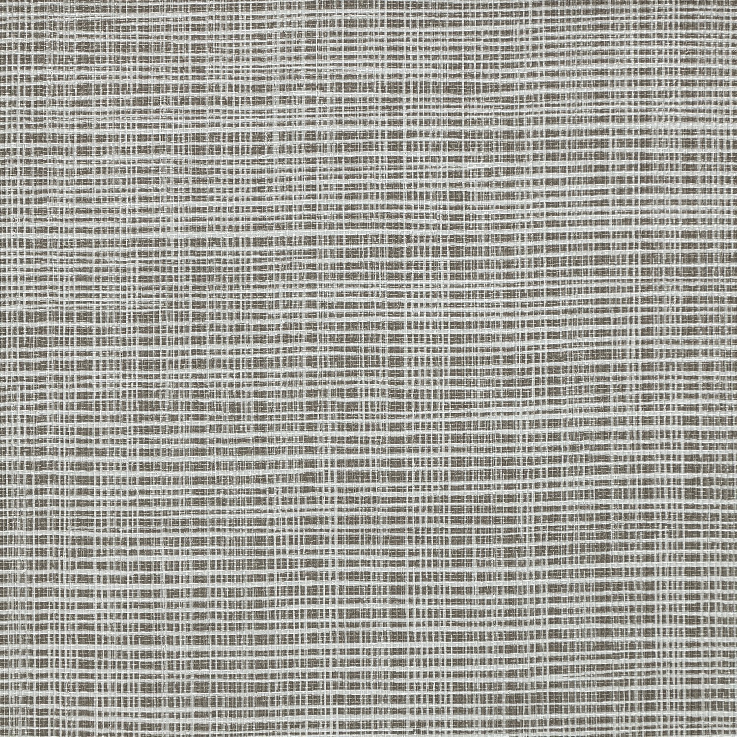 Sass-A-Grass - Y47460 - Wallcovering - Vycon - Kube Contract