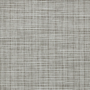 Sass-A-Grass - Y47460 - Wallcovering - Vycon - Kube Contract