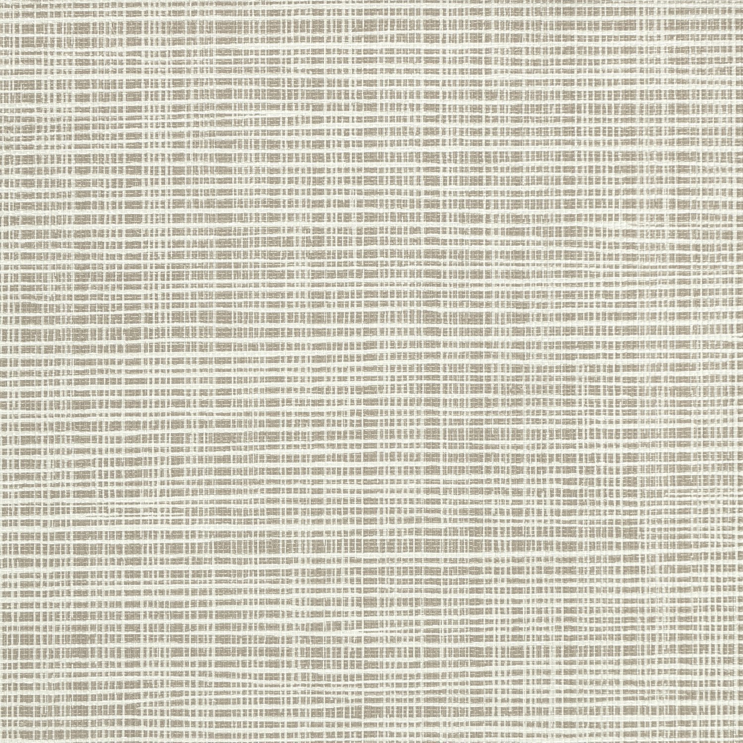 Sass-A-Grass - Y47464 - Wallcovering - Vycon - Kube Contract