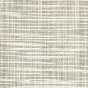 Sass-A-Grass - Y47464 - Wallcovering - Vycon - Kube Contract