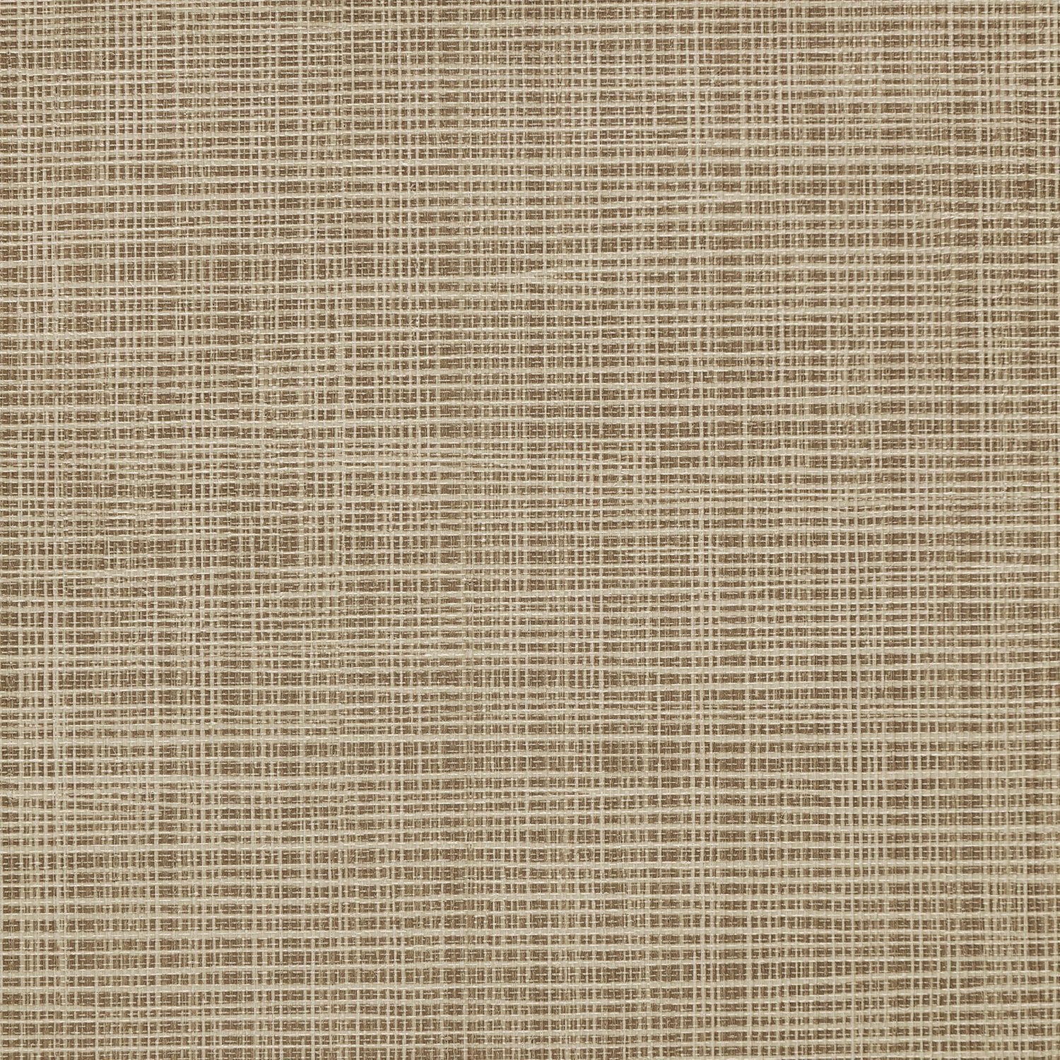 Sass-A-Grass - Y47467 - Wallcovering - Vycon - Kube Contract
