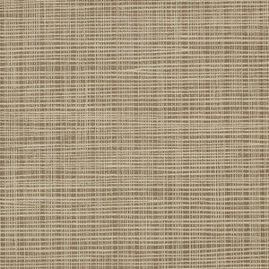 Sass-A-Grass - Y47467 - Wallcovering - Vycon - Kube Contract