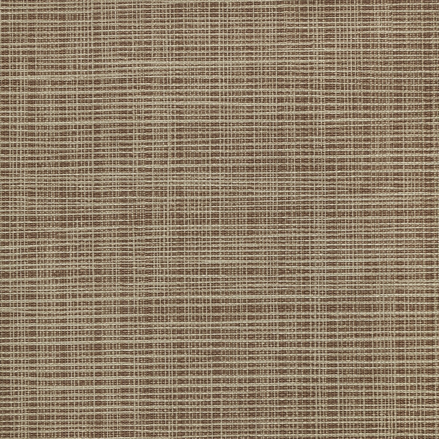 Sass-A-Grass - Y47468 - Wallcovering - Vycon - Kube Contract
