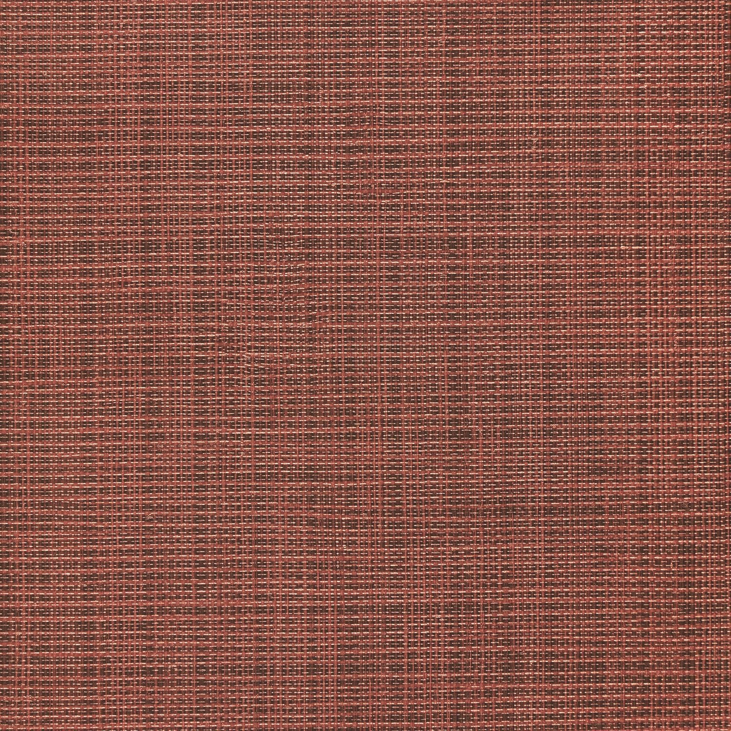 Sass-A-Grass - Y47472 - Wallcovering - Vycon - Kube Contract