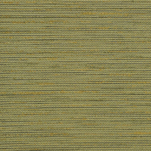 Savannah - Y47676 - Wallcovering - Vycon - Kube Contract