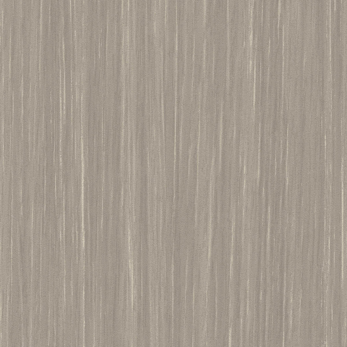 Sherwood - Y47962 - Wallcovering - Vycon - Kube Contract