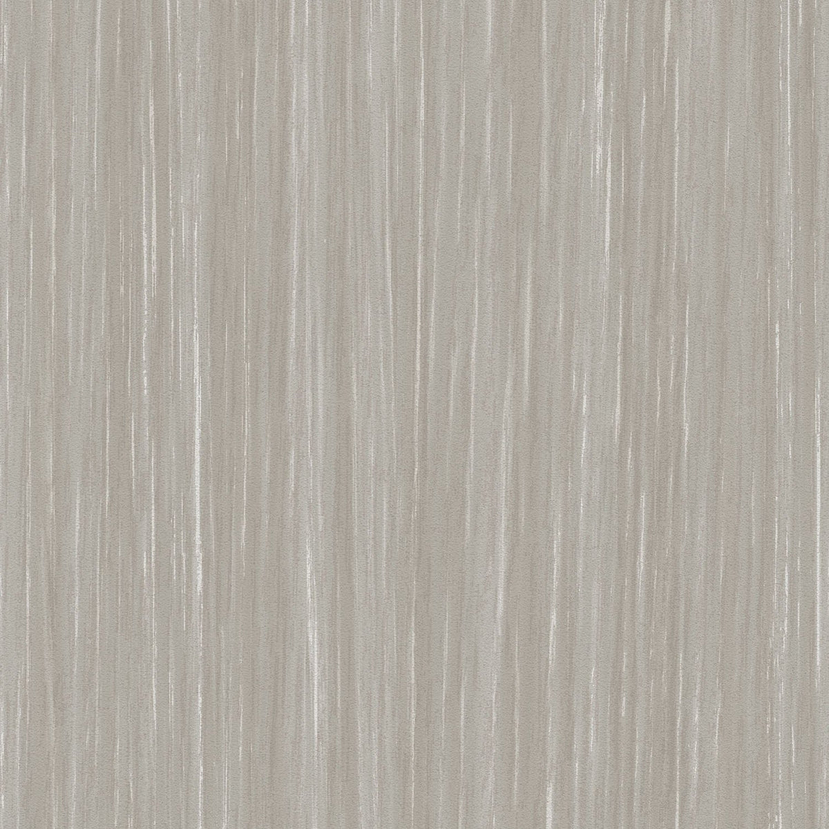 Sherwood - Y47965 - Wallcovering - Vycon - Kube Contract