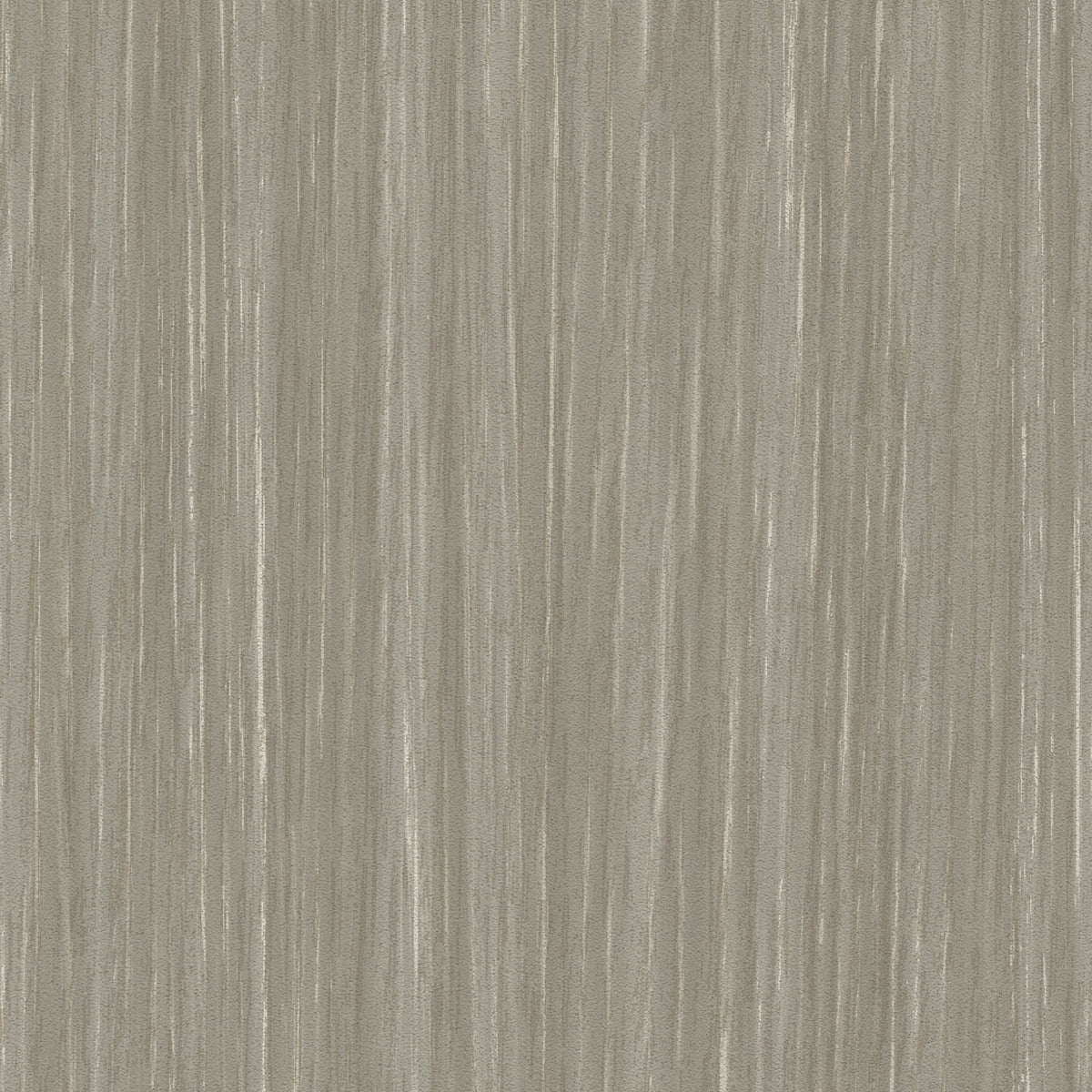 Sherwood - Y47966 - Wallcovering - Vycon - Kube Contract