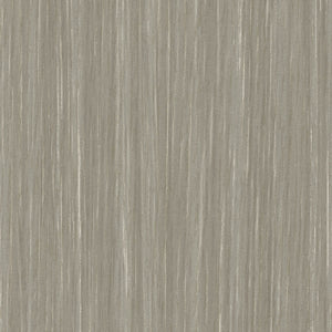 Sherwood - Y47966 - Wallcovering - Vycon - Kube Contract